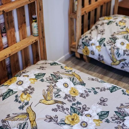 Gite Proche Du Canal Du Midi Et Narbonne 2 Chambres Mirepeisset Eksteriør billede
